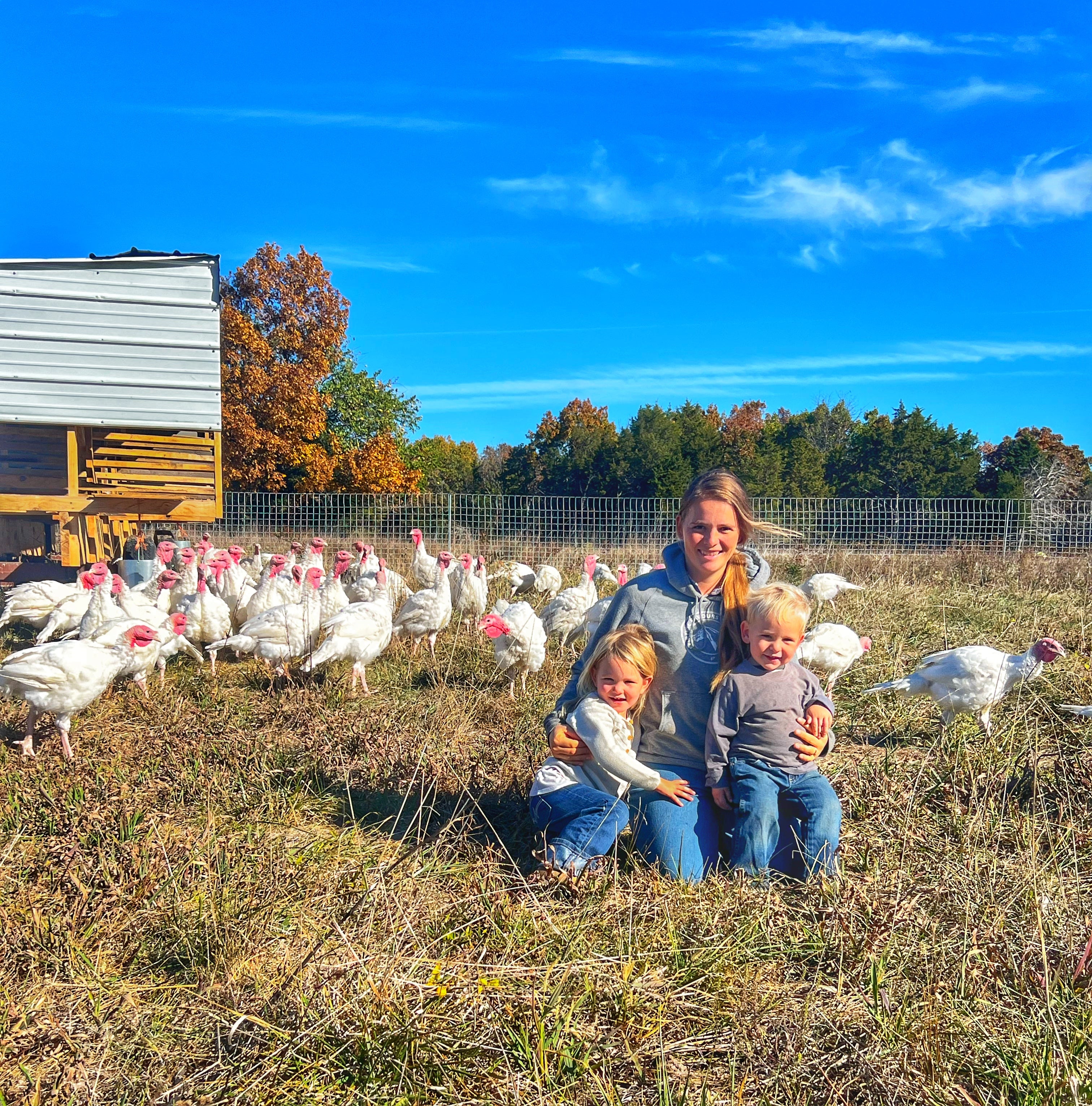 Fresh Whole Turkeys - JH Grass Fed